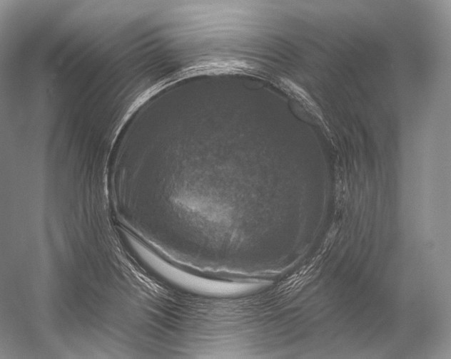 X0000058821226200510171528