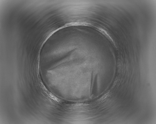 X0000058821228200510171528
