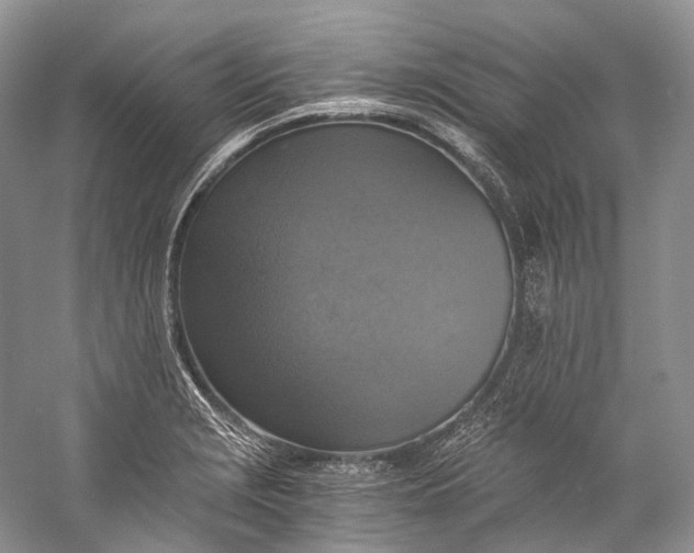 X0000058821229200510171528