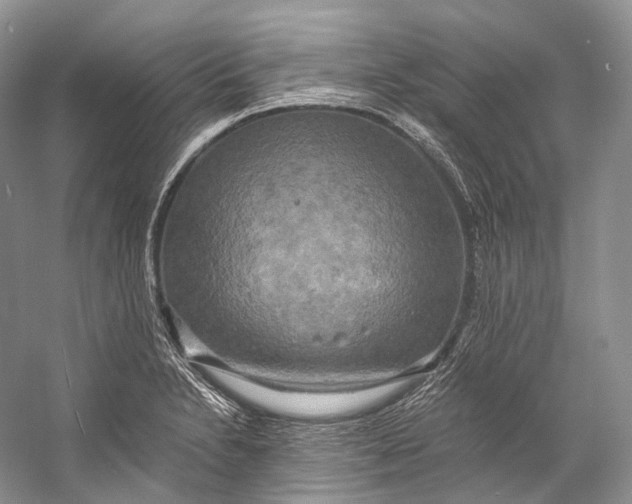X0000058821230200510171528