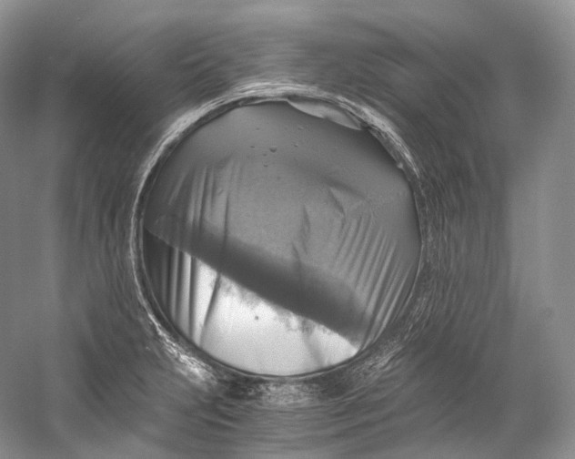X0000058821231200510171528