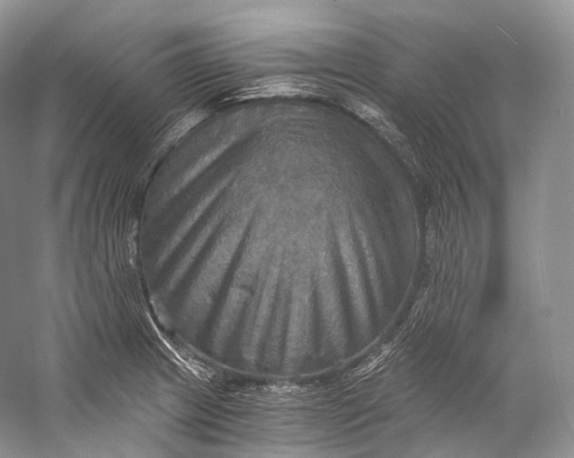 X0000058821233200510171528