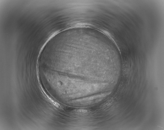 X0000058821235200510171528