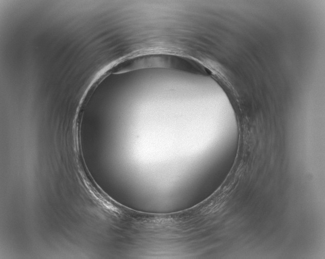 X0000058821238200510171529