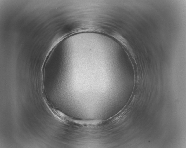 X0000058821242200510171529