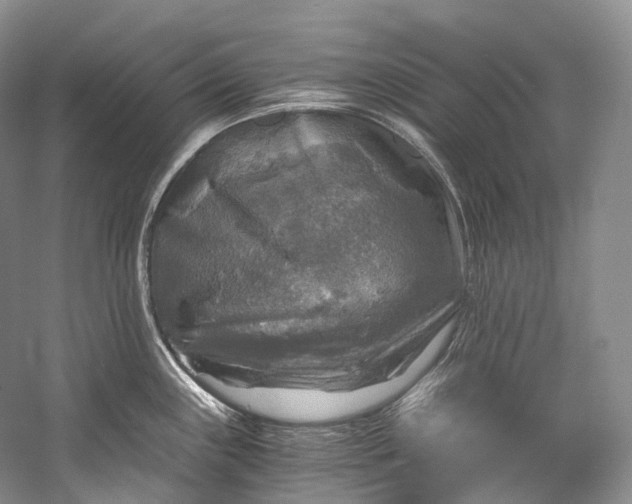 X0000058821243200510171529