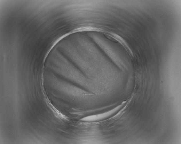 X0000058821244200510171529