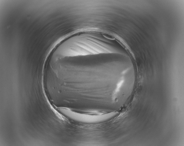 X0000058821245200510171529