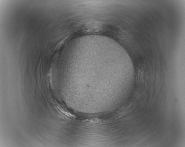 X0000058821250200510171528