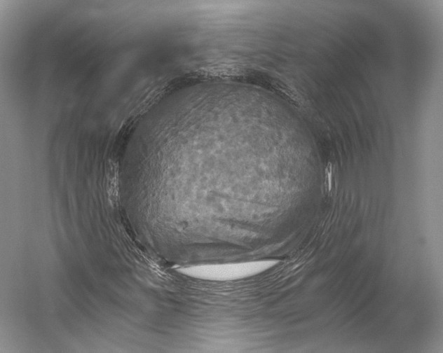 X0000058821251200510171528
