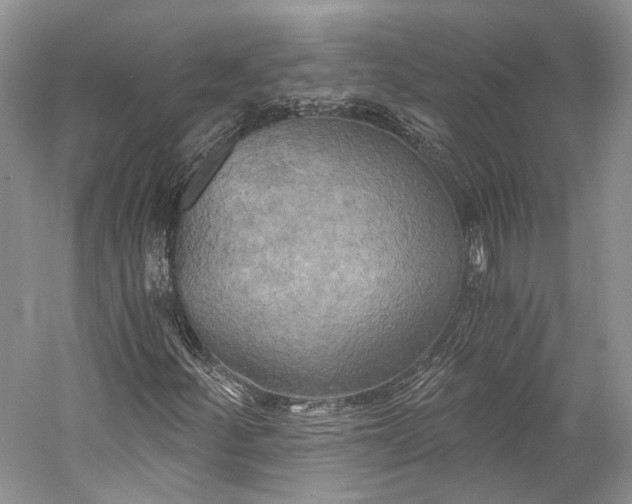 X0000058821252200510171528