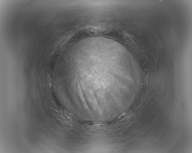X0000058821253200510171528