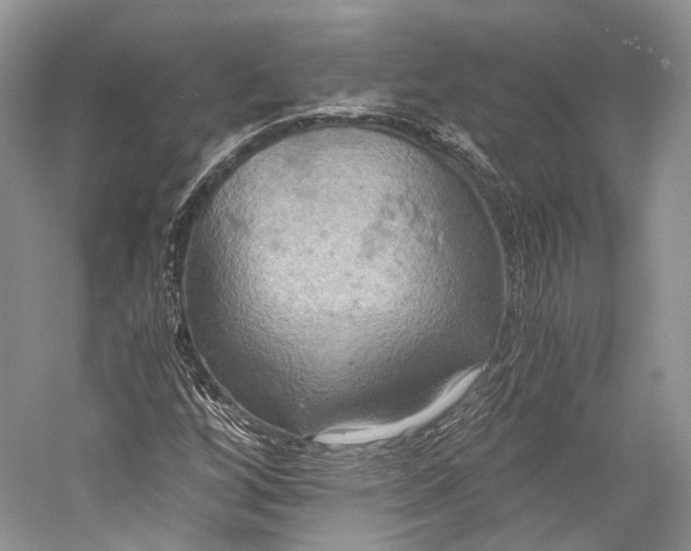 X0000058821256200510171528