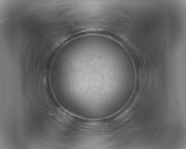 X0000058821257200510171528