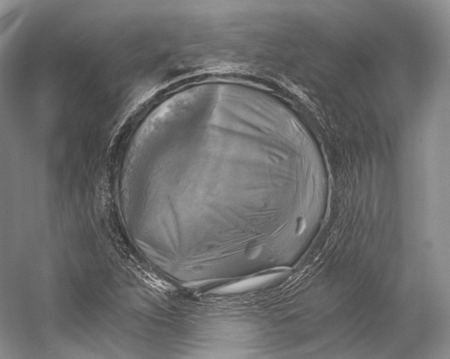 X0000058821263200510171528