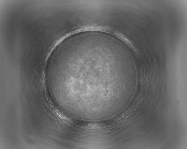 X0000058821264200510171528