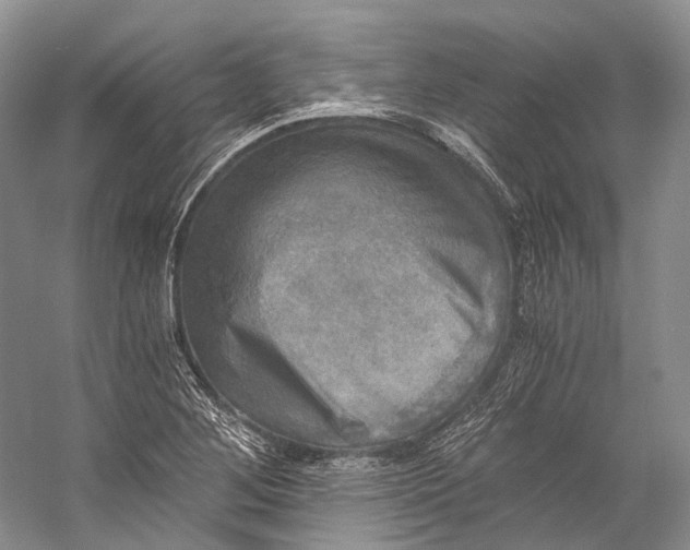 X0000058821268200510171528