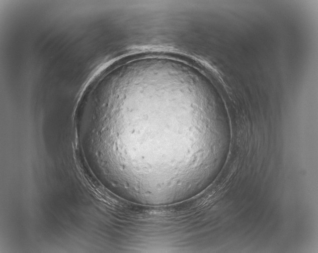 X0000058821271200510171527