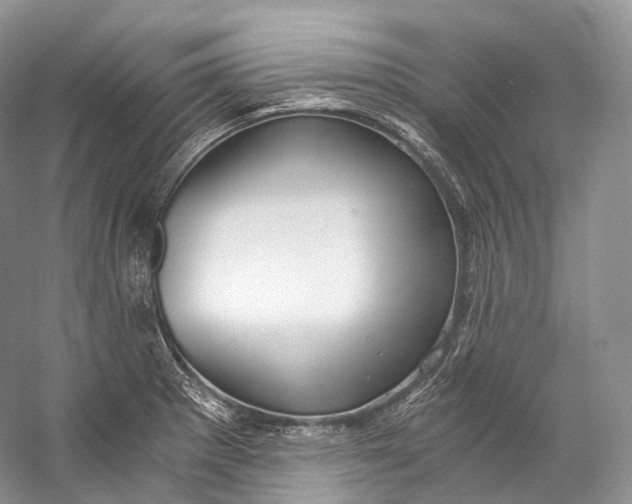 X0000058821281200510171527