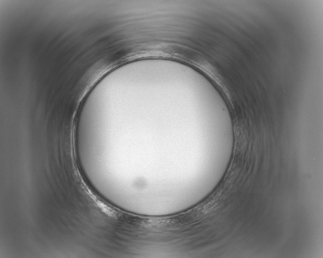 X0000058821290200510171527