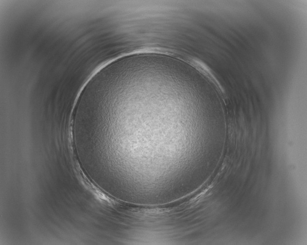 X0000058821292200510171527