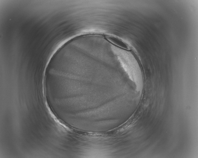X0000058821295200510171527
