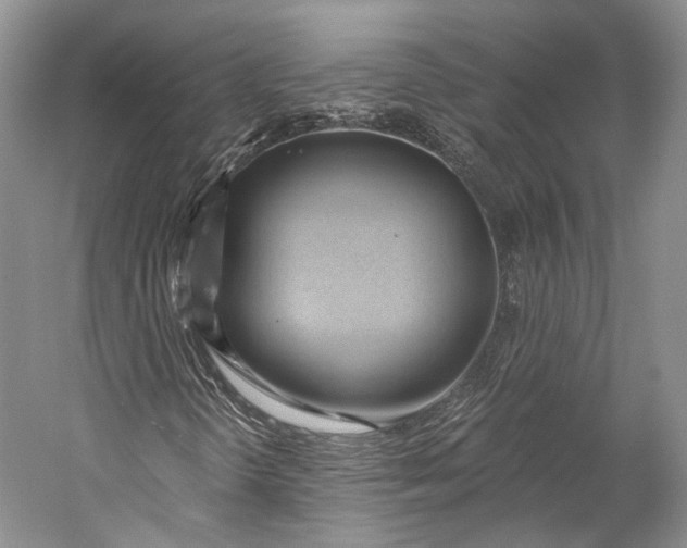 X0000058821298200510171526