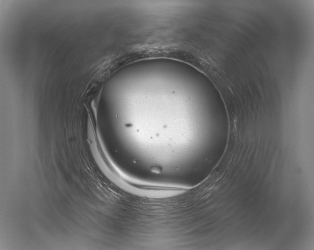 X0000058821300200510171526