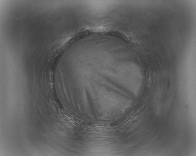 X0000058821301200510171526