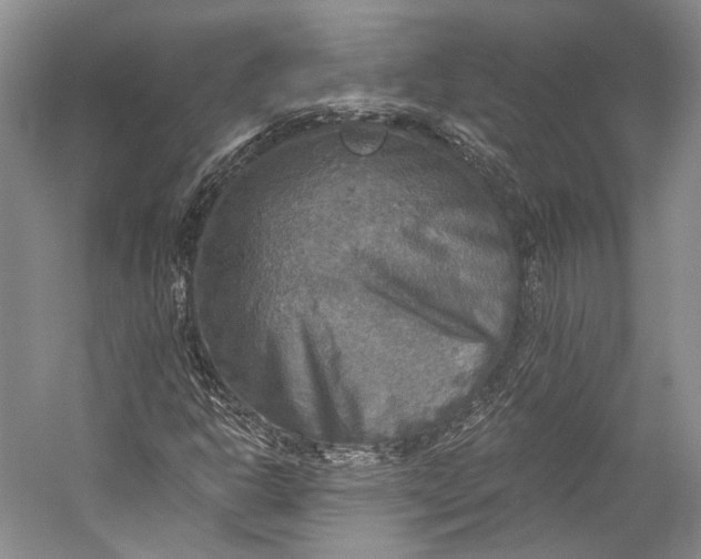 X0000058821302200510171526