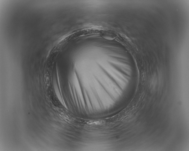 X0000058821303200510171526