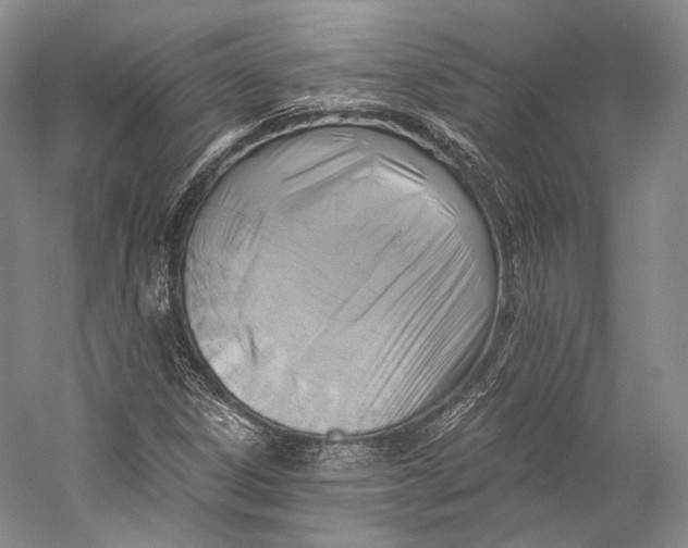 X0000058821306200510171526