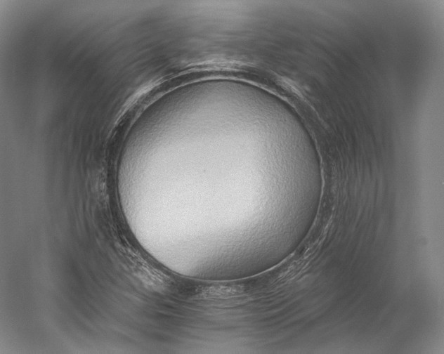 X0000058821307200510171526