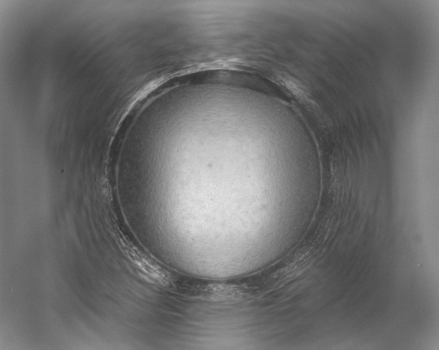 X0000058821308200510171526