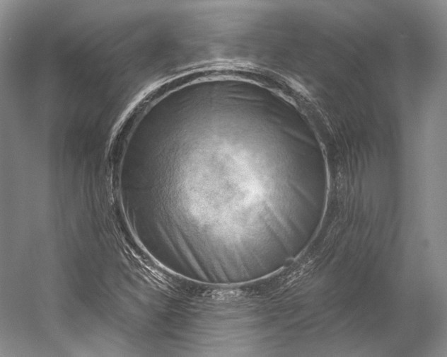 X0000058821310200510171526