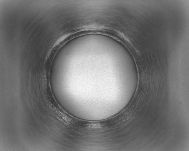 X0000058821315200510171527