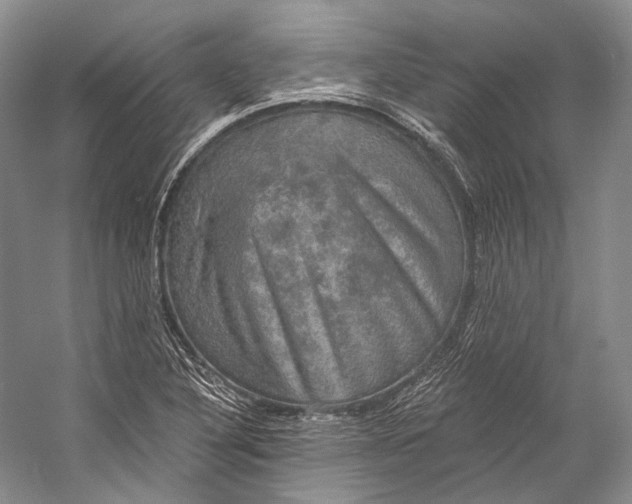 X0000058821316200510171527