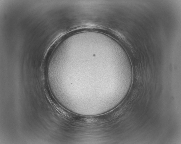X0000058821318200510171527
