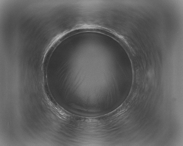 X0000058821319200510171527