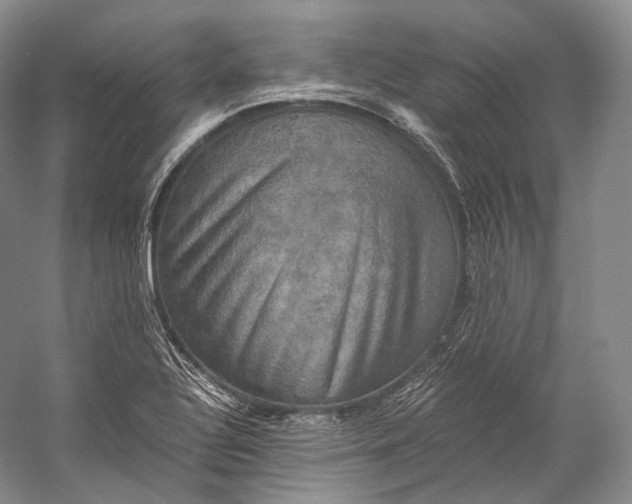 X0000058821320200510171527