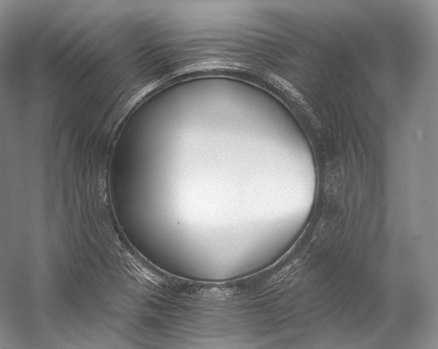 X0000058821321200510171527