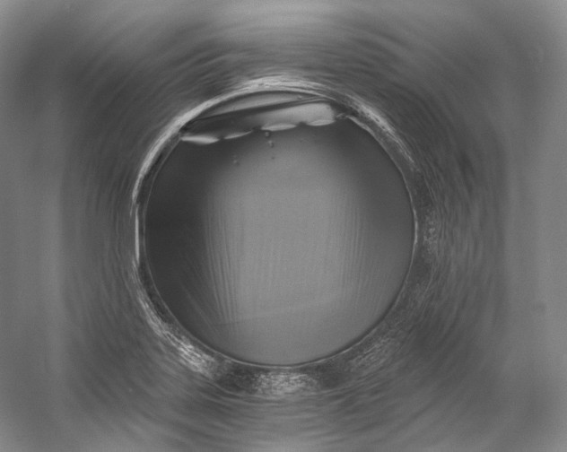X0000058821323200510171527
