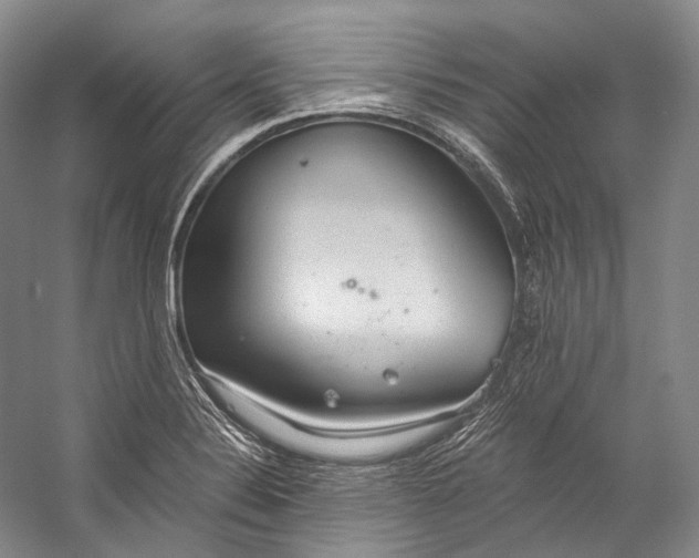 X0000058821324200510171527