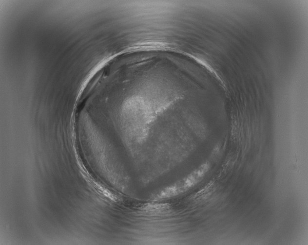X0000058821325200510171527