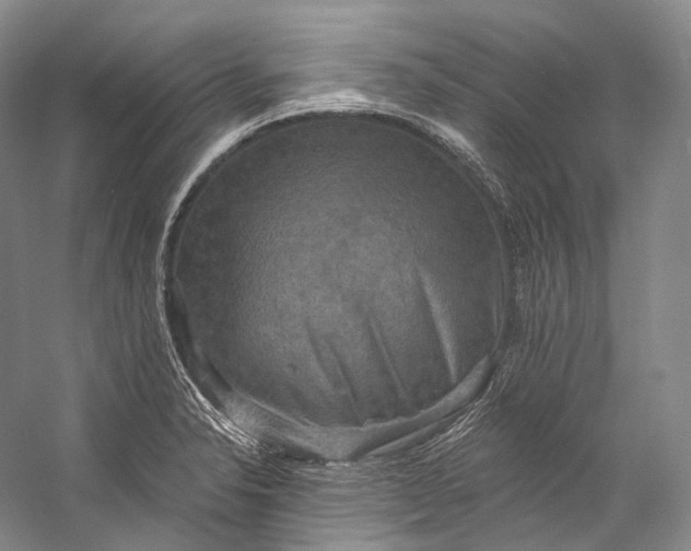 X0000058821326200510171527