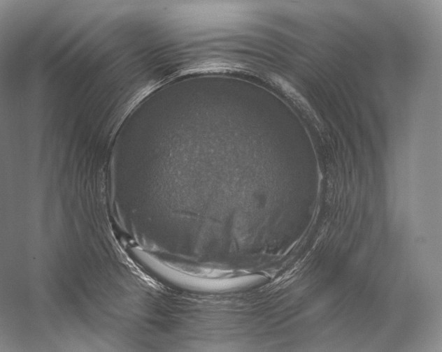X0000058821329200510171527