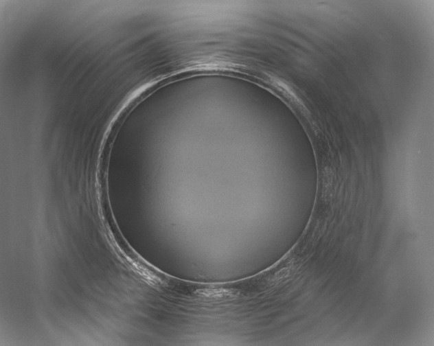 X0000058821331200510171527