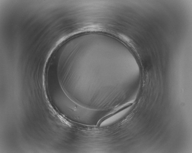 X0000058821334200510171527