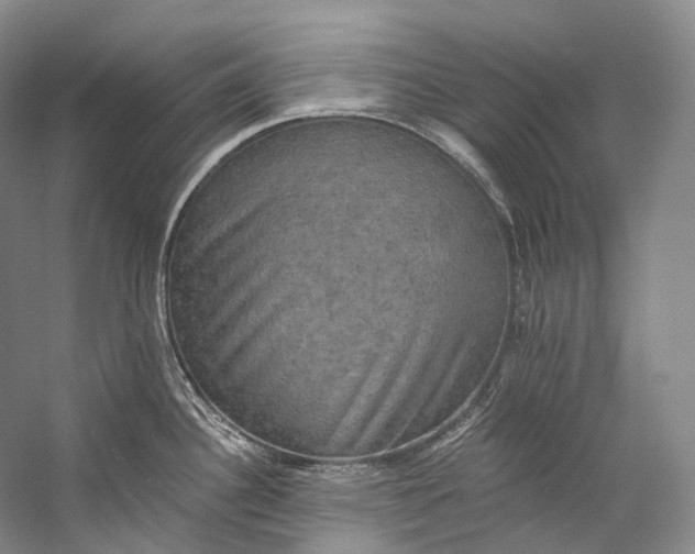X0000058821340200510171527