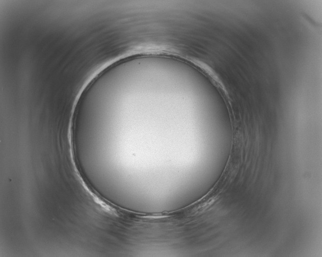 X0000058821343200510171527